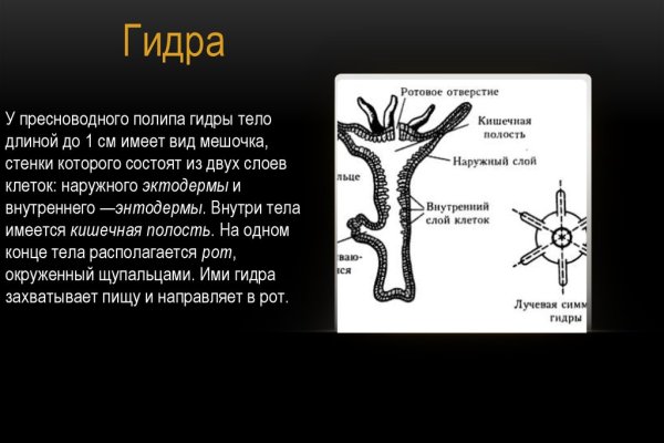 Кракен ссылка trikky