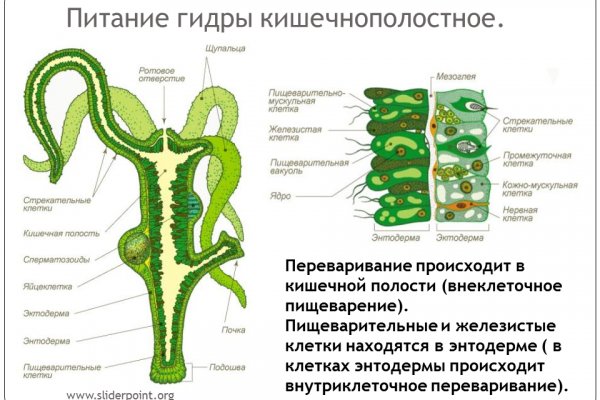 Кракен наркоторговля